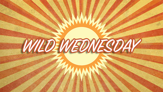 2022 - Wild Wednesday